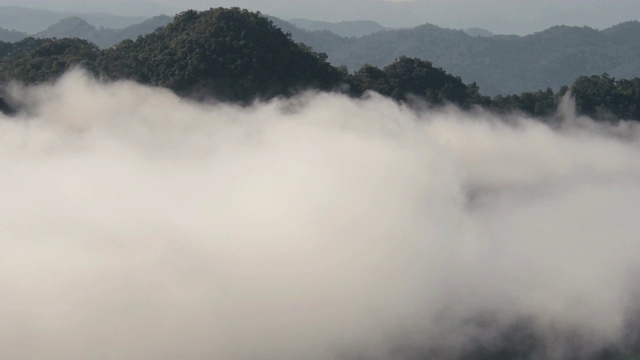 高原自然景观的泰国冬日绿树山视频素材