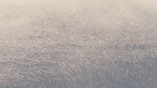 加拿大苔原上的风吹雪视频素材