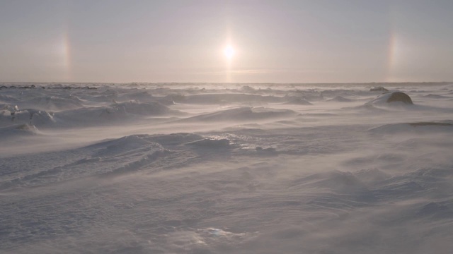 加拿大苔原上的风吹雪视频素材