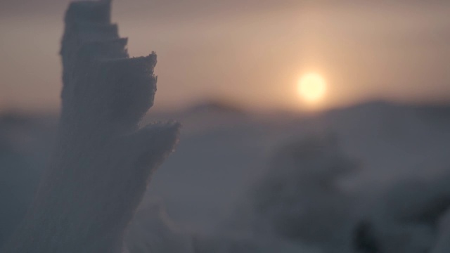 加拿大苔原上的风吹雪视频素材