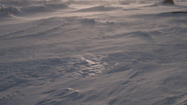 加拿大苔原上的风吹雪视频素材