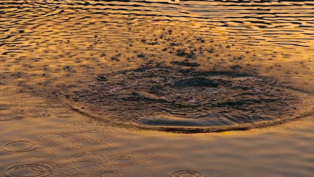 水面涟漪视频素材