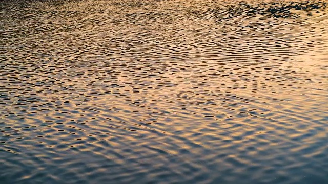 夕阳下平静的湖面视频素材