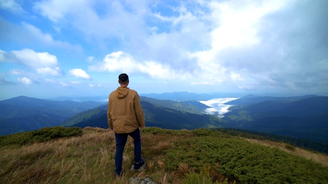 这只雄鸟在山上走着，带着美丽的风景视频素材