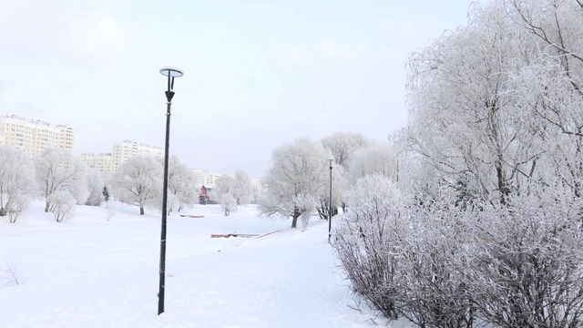 被白雪覆盖的城市公园视频素材