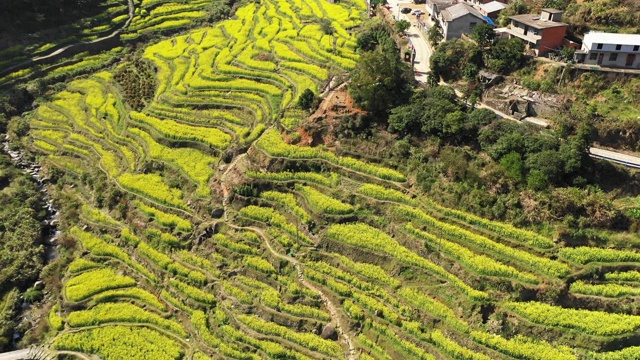 中国江西南昌的美岭梯田视频素材