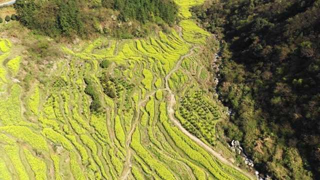 中国江西南昌的美岭梯田视频素材