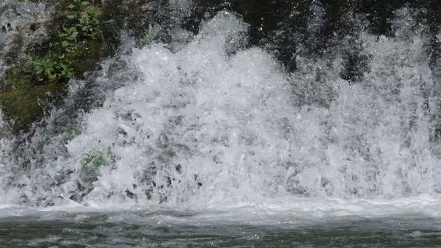 法国南部的一条野生河流视频素材