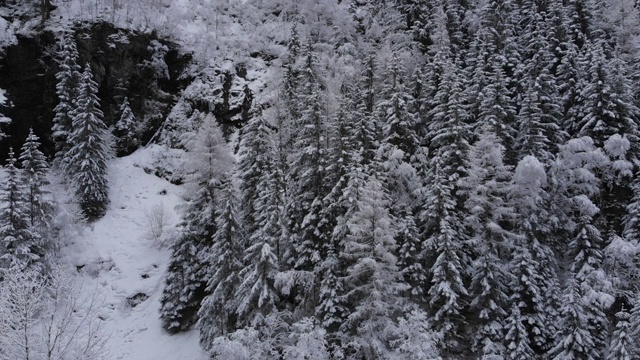 无人机航拍雪山和树木，库存视频视频素材