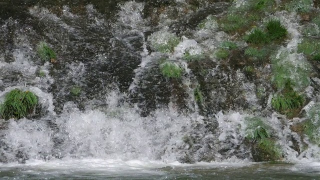 法国南部的一条野生河流视频素材