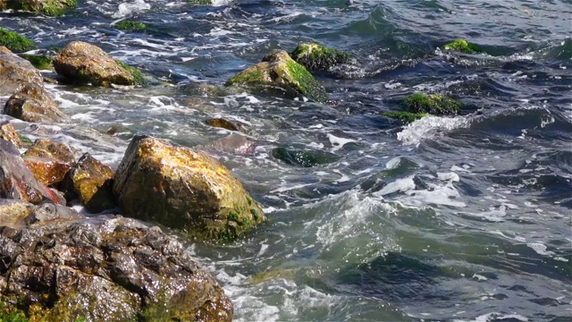 岩石和海水视频素材