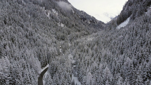 无人机航拍雪山和树木，库存视频视频素材