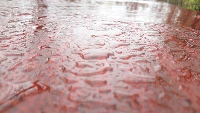 秋天的落叶。秋天多雨的背景。视频素材