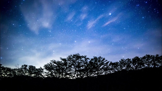 美丽的星星随着树木和云彩而流逝视频素材