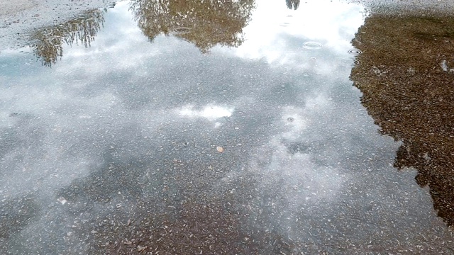 雨滴视频素材