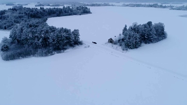 爱沙尼亚雪域森林和农田的鸟瞰图。视频素材