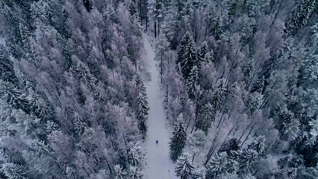 爱沙尼亚一个男人在森林里滑雪的鸟瞰图视频素材