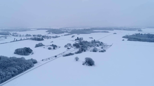 爱沙尼亚雪域森林和农田的鸟瞰图。视频素材