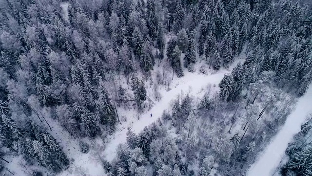 爱沙尼亚一个男人在森林里滑雪的鸟瞰图视频素材