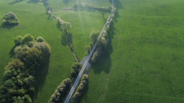 鸟瞰图农村道路通过草地与树木在春天。法兰克尼亚,巴伐利亚,德国。视频素材