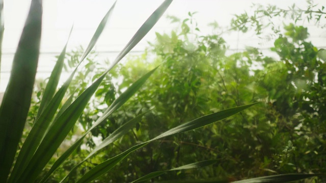 大雨打在窗户上视频素材