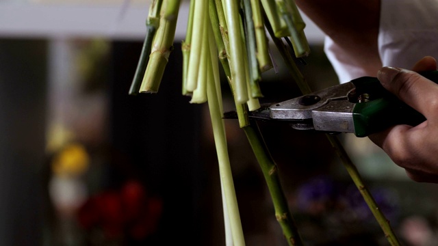 花匠在车间手工切割花茎视频素材