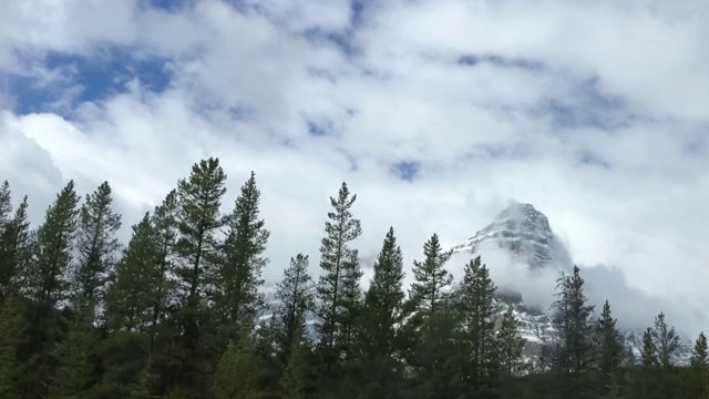 开车穿过落基森林和雪山视频素材