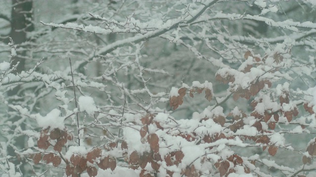 雪花在窗前融化视频素材