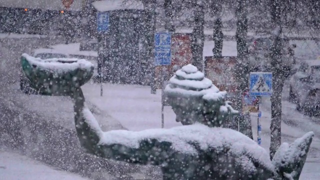 哥德堡大雪的慢动作视频素材