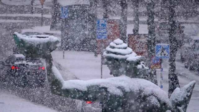 哥德堡大雪的慢动作视频素材