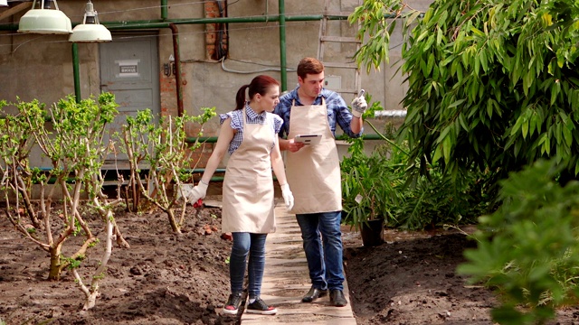 男农学家与女园丁一起对温室内种植的植物进行检查。视频下载