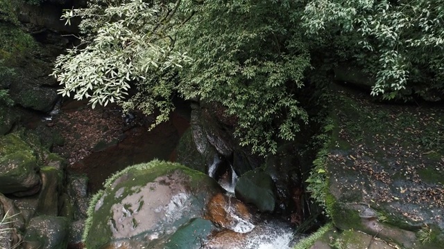 鸟瞰山间溪流的流动视频素材