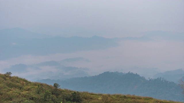 雾在早上在雨林山脉上滚动，时间流逝视频视频素材