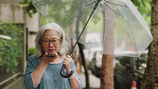 雨中漫步视频素材