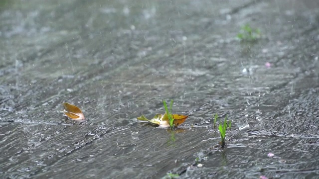 雨滴落在地上。慢动作水滴在地上。视频素材