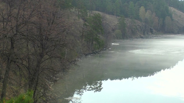 雾笼罩着湖岸视频素材