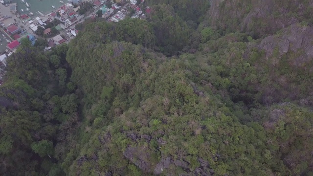 鸟瞰图的树木和岩石在一个岛屿视频下载