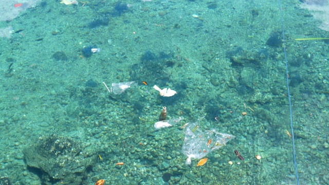 在透明的热带加勒比海海面上漂浮着垃圾视频素材