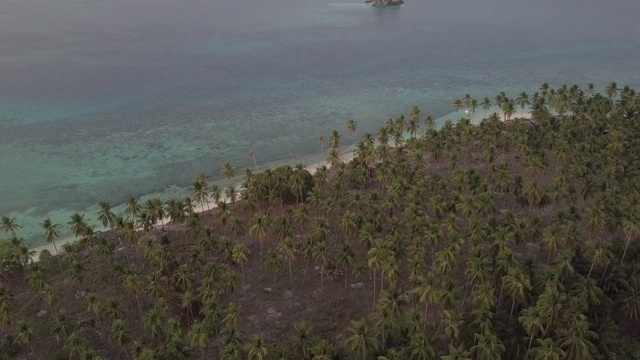 鸟瞰菲律宾岛椰子树和平静的大海视频下载