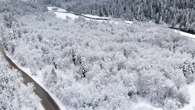 鸟瞰图的道路在一个阴天的冬天森林视频素材