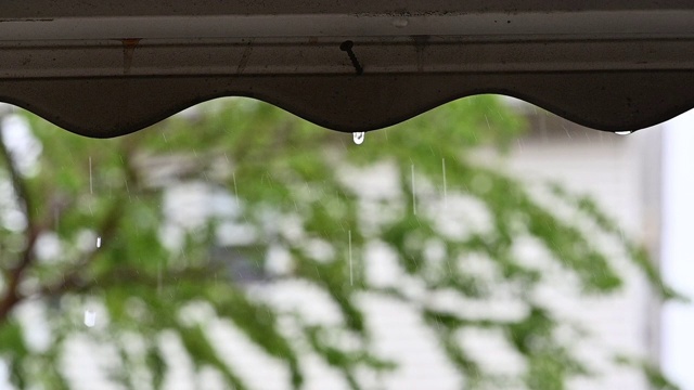 降雨视频下载