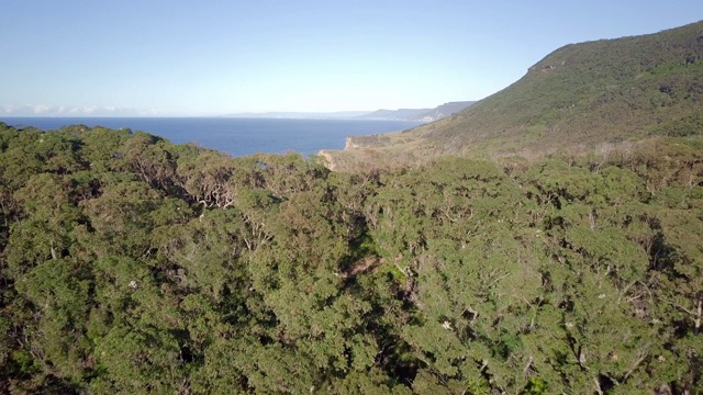 空中向前:广袤的蓝色海洋边缘的森林覆盖的山丘，皇家国家公园，澳大利亚视频素材