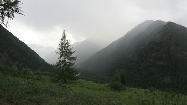 云雾缭绕的山景。阿尔泰山脉、俄罗斯视频素材