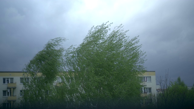 伴随着突然爆发的暴风雨的暴雨视频素材