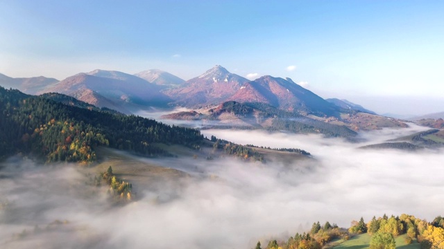 在早晨的自然景观中，在秋天的森林山雾之上飞翔视频素材