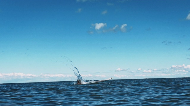 男孩从冲浪板上掉到海里视频素材