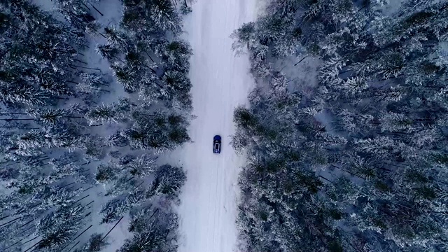 一辆汽车在爱沙尼亚白雪覆盖的森林中行驶的鸟瞰图。视频素材