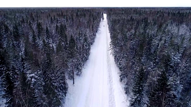 一辆汽车在爱沙尼亚白雪覆盖的森林中行驶的鸟瞰图。视频素材