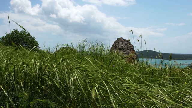 牧场在风视频素材