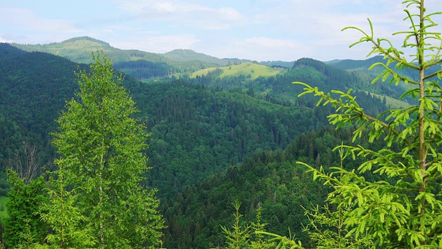 山地夏季景观视频素材